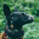 découvrez notre comparatif des meilleures assurances santé adaptées aux familles nombreuses. toutes les informations clés pour choisir la couverture idéale et protéger votre famille.