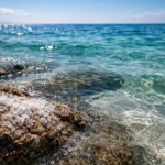 découvrez les caractéristiques essentielles de l'eau de mer et explorez les facteurs influençant sa salinité dans cet article détaillé.